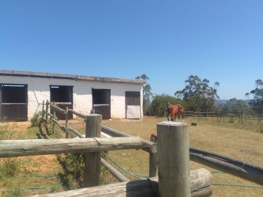 To Let 3 Bedroom Property for Rent in East London Rural Eastern Cape